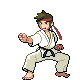 Black Belt trainer sprite from Pokémon Black 2 and White 2