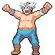 Crasher Wake trainer sprite from Pokémon Black 2 and White 2