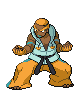 Marshal trainer sprite from Pokémon Black 2 and White 2