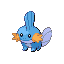 Mudkip