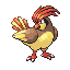 Pidgeotto FireRed and LeafGreen sprite
