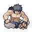 Elite Four Bruno trainer sprite