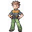Leader Brock trainer sprite